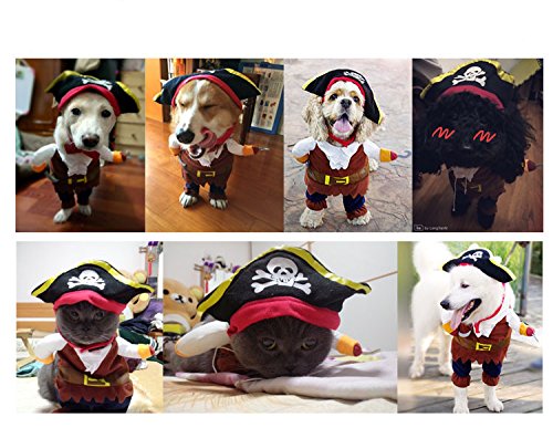 con cappello Costume da pirata per cane e gatto